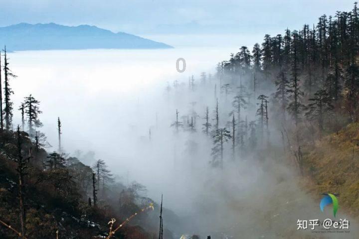 鲜奶运输车找不同